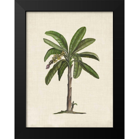 British Palms II Black Modern Wood Framed Art Print by McCavitt, Naomi
