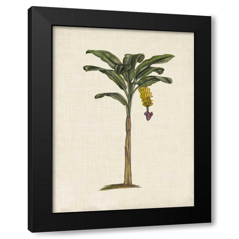 British Palms III Black Modern Wood Framed Art Print with Double Matting by McCavitt, Naomi