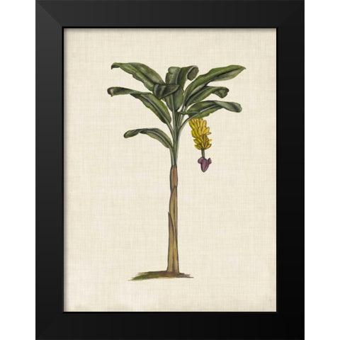 British Palms III Black Modern Wood Framed Art Print by McCavitt, Naomi