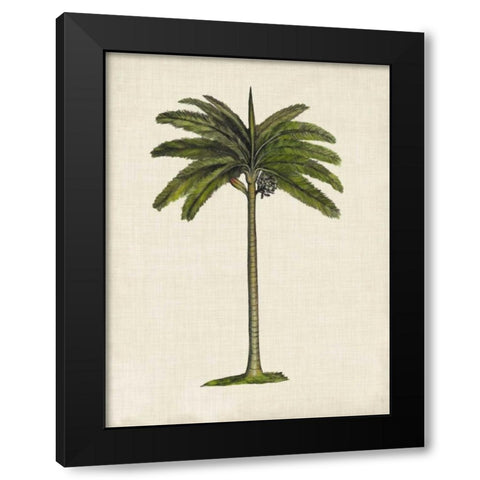 British Palms IV Black Modern Wood Framed Art Print by McCavitt, Naomi