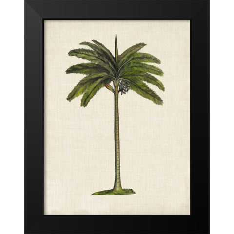 British Palms IV Black Modern Wood Framed Art Print by McCavitt, Naomi