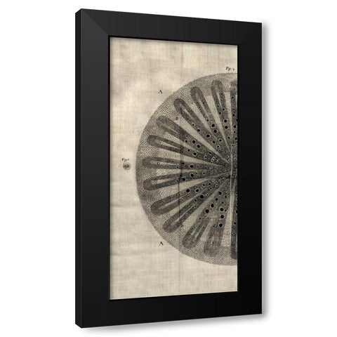 Cross Cut III Left Black Modern Wood Framed Art Print with Double Matting by Butler, John
