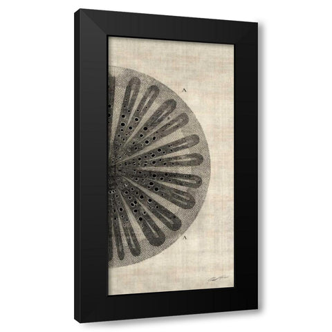 Cross Cut III Right Black Modern Wood Framed Art Print by Butler, John