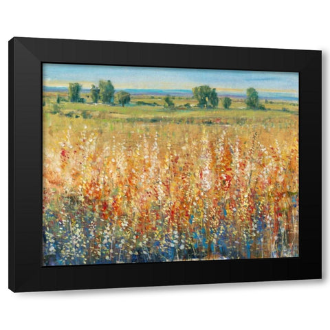 Gold and Red Field II Black Modern Wood Framed Art Print by OToole, Tim