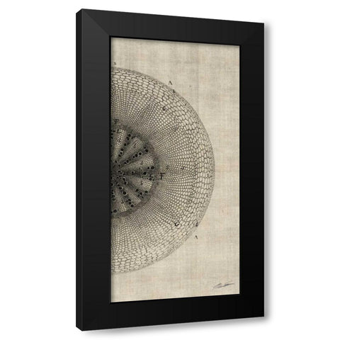 Cross Cut IV Right Black Modern Wood Framed Art Print with Double Matting by Butler, John