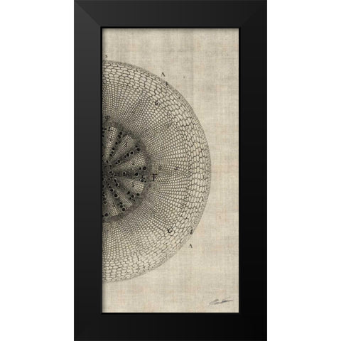 Cross Cut IV Right Black Modern Wood Framed Art Print by Butler, John