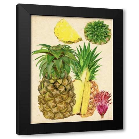 Tropical Pineapple Study I Black Modern Wood Framed Art Print with Double Matting by Wang, Melissa
