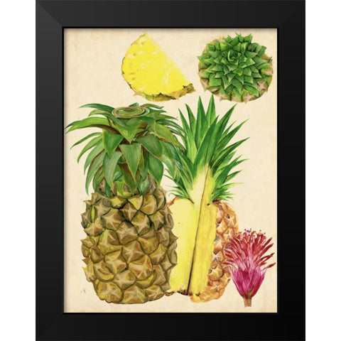 Tropical Pineapple Study I Black Modern Wood Framed Art Print by Wang, Melissa