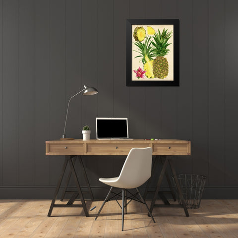 Tropical Pineapple Study II Black Modern Wood Framed Art Print by Wang, Melissa