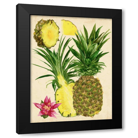 Tropical Pineapple Study II Black Modern Wood Framed Art Print with Double Matting by Wang, Melissa