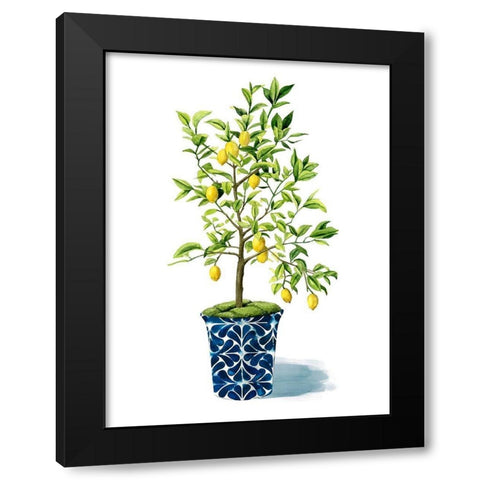 Fruit Tree II Black Modern Wood Framed Art Print with Double Matting by Popp, Grace