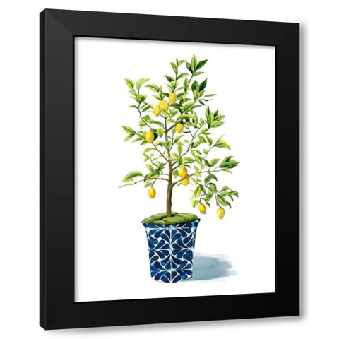 Fruit Tree II Black Modern Wood Framed Art Print with Double Matting by Popp, Grace