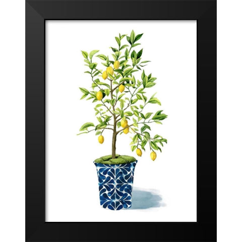 Fruit Tree II Black Modern Wood Framed Art Print by Popp, Grace