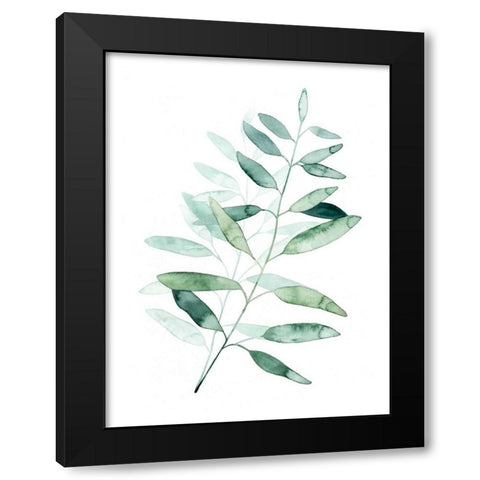 Serene Reed II Black Modern Wood Framed Art Print with Double Matting by Popp, Grace