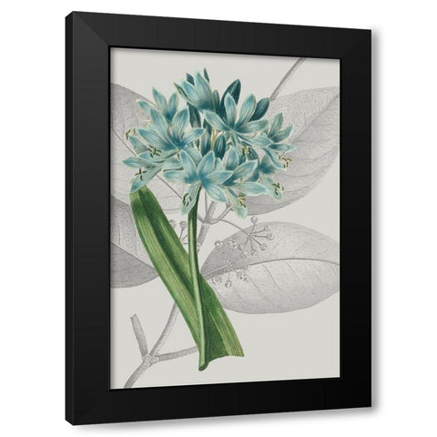 Botanical Arrangement II Black Modern Wood Framed Art Print by Vision Studio