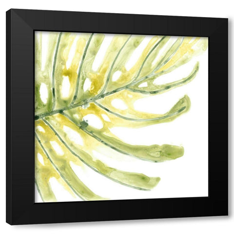 Verdant Impressions IX Black Modern Wood Framed Art Print by Vess, June Erica