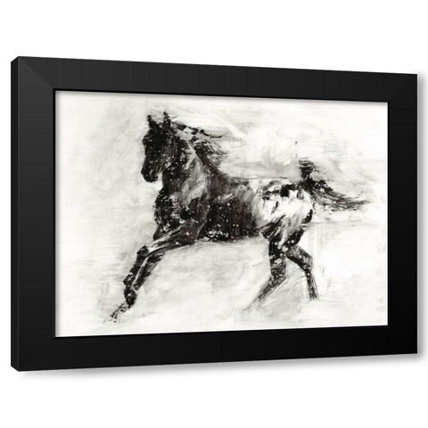 Rustic Appaloosa II Black Modern Wood Framed Art Print by Harper, Ethan