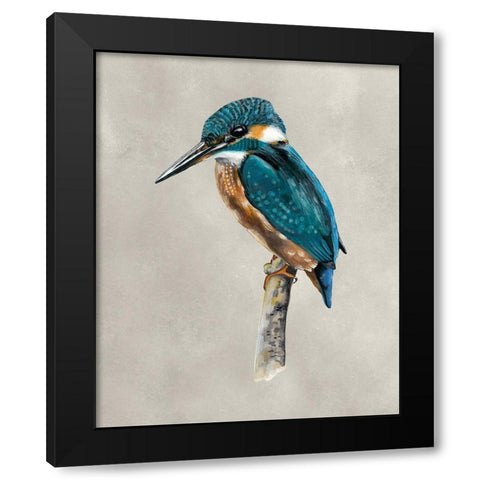 Winged Beauty I Black Modern Wood Framed Art Print by McCavitt, Naomi