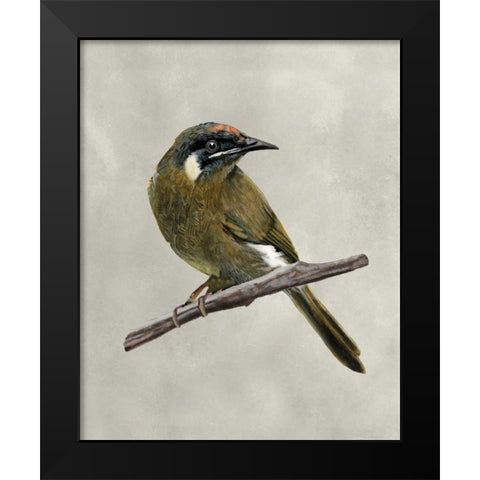 Winged Beauty III Black Modern Wood Framed Art Print by McCavitt, Naomi