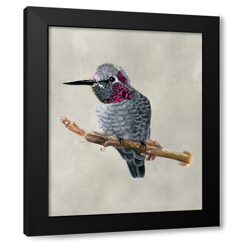 Winged Beauty IV Black Modern Wood Framed Art Print by McCavitt, Naomi