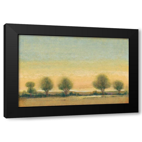 Morning Sun II Black Modern Wood Framed Art Print by OToole, Tim