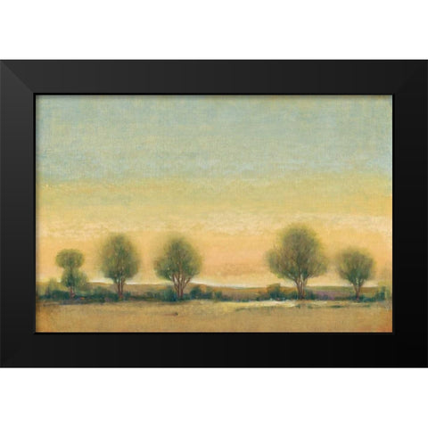 Morning Sun II Black Modern Wood Framed Art Print by OToole, Tim