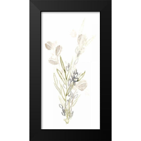 Botanica Whimsy II Black Modern Wood Framed Art Print by Vess, June Erica