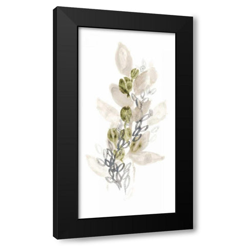 Botanica Whimsy III Black Modern Wood Framed Art Print by Vess, June Erica