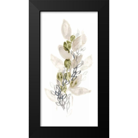 Botanica Whimsy III Black Modern Wood Framed Art Print by Vess, June Erica