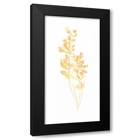 Bouquet Blush I Black Modern Wood Framed Art Print by Vess, June Erica