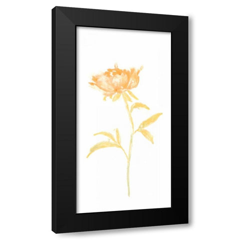 Bouquet Blush II Black Modern Wood Framed Art Print by Vess, June Erica