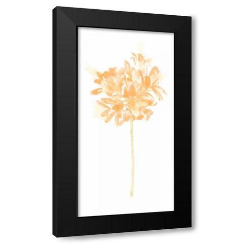 Bouquet Blush VI Black Modern Wood Framed Art Print by Vess, June Erica