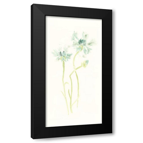 Cornflower Study II Black Modern Wood Framed Art Print by Vess, June Erica