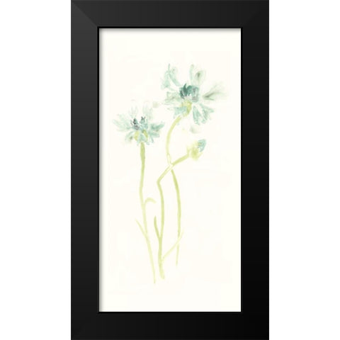 Cornflower Study II Black Modern Wood Framed Art Print by Vess, June Erica