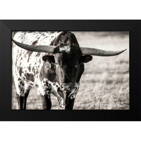 Longhorn Portrait Black Modern Wood Framed Art Print by Stockton, Tyler