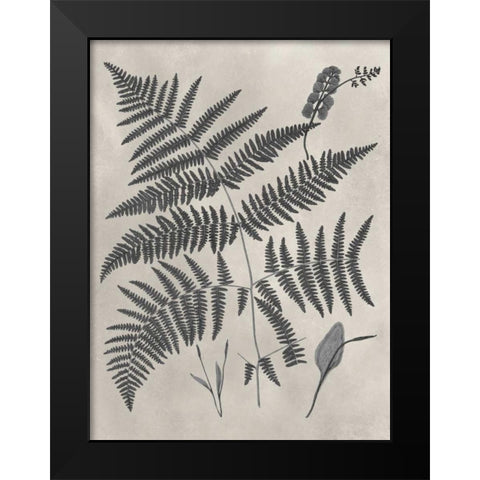 Vintage Fern Study IV Black Modern Wood Framed Art Print by Vision Studio