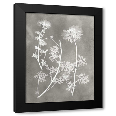 Herbarium Study IV Black Modern Wood Framed Art Print with Double Matting by Vision Studio