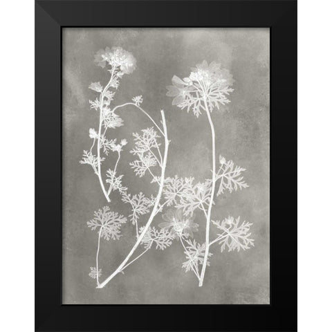 Herbarium Study IV Black Modern Wood Framed Art Print by Vision Studio