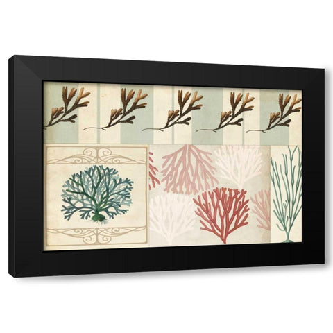 Coastal Patternbook I Black Modern Wood Framed Art Print with Double Matting by Vision Studio