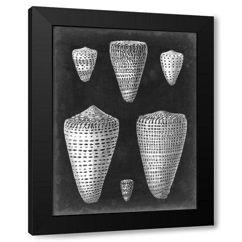 Alabaster Shells I Black Modern Wood Framed Art Print by Vision Studio