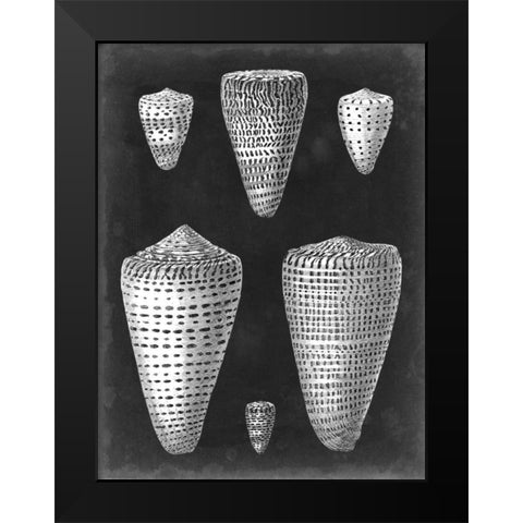 Alabaster Shells I Black Modern Wood Framed Art Print by Vision Studio