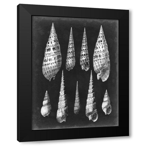 Alabaster Shells II Black Modern Wood Framed Art Print with Double Matting by Vision Studio