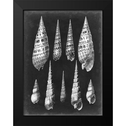 Alabaster Shells II Black Modern Wood Framed Art Print by Vision Studio