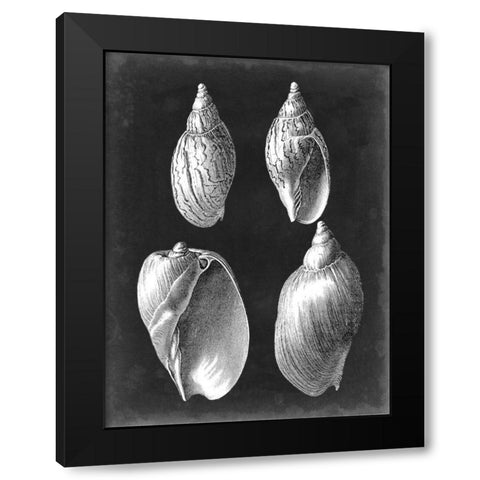 Alabaster Shells III Black Modern Wood Framed Art Print with Double Matting by Vision Studio