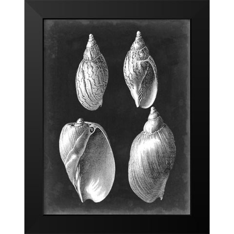 Alabaster Shells III Black Modern Wood Framed Art Print by Vision Studio