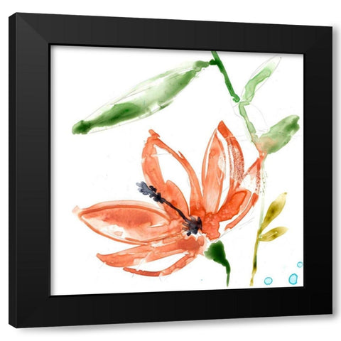 Tropical Display IV Black Modern Wood Framed Art Print with Double Matting by Goldberger, Jennifer