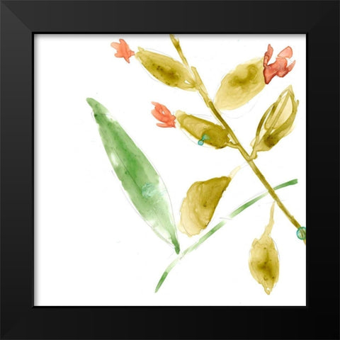 Tropical Display VIII Black Modern Wood Framed Art Print by Goldberger, Jennifer