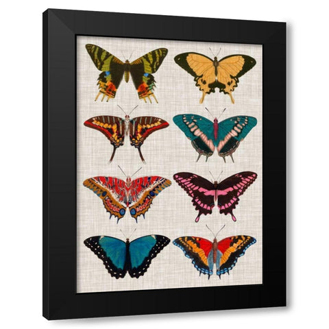 Polychrome Butterflies I Black Modern Wood Framed Art Print with Double Matting by Vision Studio