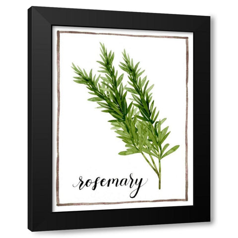 Watercolor Herbs V Black Modern Wood Framed Art Print with Double Matting by Popp, Grace