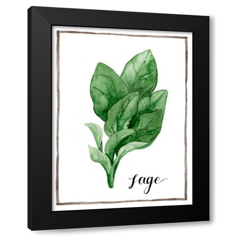 Watercolor Herbs VI Black Modern Wood Framed Art Print by Popp, Grace